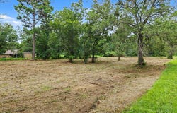 HAZELWOOD ST, Naples, TX 75568