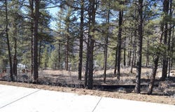 774 Tipple Ave. (Lot 143), Durango, CO 81301
