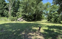 Hartman, AR 72840