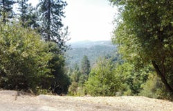 137 Deerhaven DR, TUOLUMNE, CA 95379