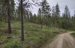 E Jump Off Rd, Valley, WA 99181