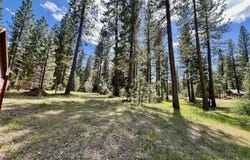 375 Eureka Springs Drive, Blairsden, CA 96103