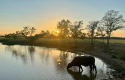 CR 358, Gause, TX 77857