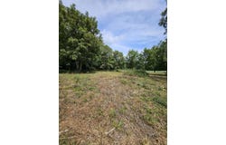 Settlers Trail Road, Marshfield, MO 65706