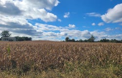 OAKLAND RD, REVA, VA 22735