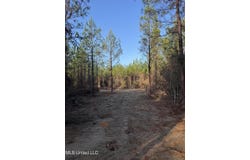 Pat Hickman Road, Perkinston, MS 39573