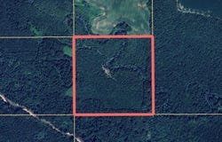 CR 192, Prairie, MS 39756