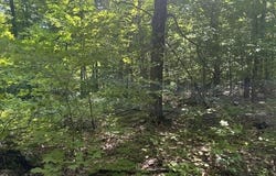 V/L Teal Road, Pellston, MI 49769
