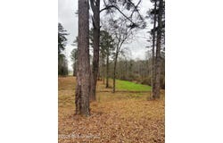 NE Hwy 503, Rose Hill, MS 39356