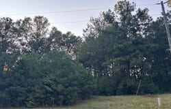 Park Place lot: 3, McComb, MS 39648