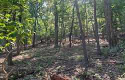 2608 JACKSON Drive, HAYMARKET, VA 20169