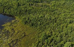 M2 L66 Wheaton Road, Dover-Foxcroft, ME 04426
