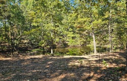 3375 Missouri 142, Moody, MO 65777