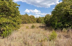 E State Highway 66, Wellston, OK 74881