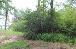 231 Palo Gaucho Lane E, Hemphill, TX 75948