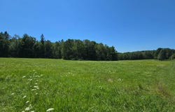 0WP Nabinger Hill Rd, Nineveh, NY 13813