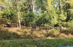 127 Walnut Street, Hamilton, AL 35570
