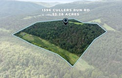 1396 CULLERS RUN Road, MATHIAS, WV 26812