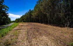 Burntfields Rd, Fulton, MS 38843
