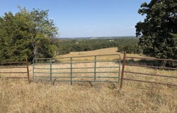 Ff, Gainesville, MO 65655