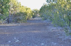 26C Ranch Road, Show Low, AZ 85901