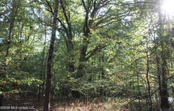 11 Star Landing Road, Nesbit, MS 38651