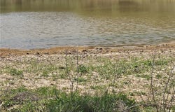 CR 322, Milano, TX 76556