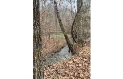 12 Tellico Trl, Murfreesboro, AR 71958