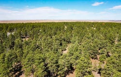 Pine ridge road, Moorcroft, WY 82721