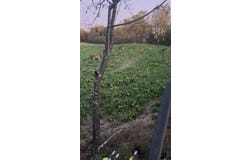 Cousintown Rd, DeKalb Junction, NY 13630
