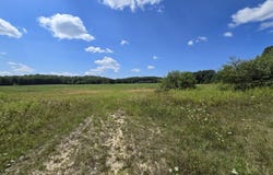 VL Leckrone Road, Brethren, MI 49619