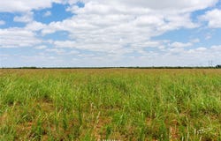 Ave Q, Anson, TX 79501