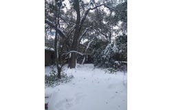 8002 Persimmon Trl, Austin, TX 78745
