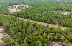 CACTUS HILLS Drive, Melrose, FL 32666