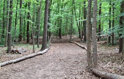 33 Piney Mountain Lane, Shipman, VA 22971