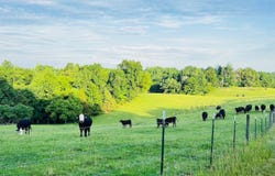 00 Crocus Rd, Glens Fork, KY 42741