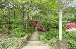 2425 JEFFERSON PARK AVE, Charlottesville, VA 22903