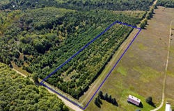 Shively Road, Fife Lake, MI 49633