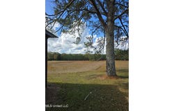 Hwy 13, Mendenhall, MS 39114