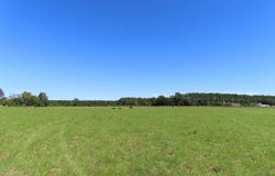 Tema Road, Hartsville, SC 29550