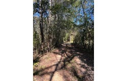 Highway 550, Union Church, MS 39668
