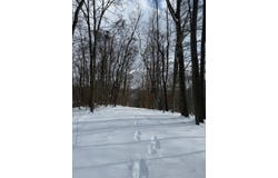 Spring Run Rd, Butler, PA 16001