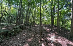 Austin Road #10, Antwerp, NY 13608