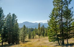kna Mack Road, Libby, MT 59923