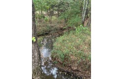 6427 W Creek Road, Ozark, AR 72949