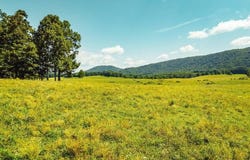 White Oak Cir Rd, Sunbright, TN 37872