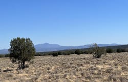 135 NW Boars Breath Road, Ash Fork, AZ 86320