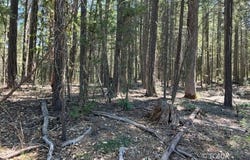 1311 Pine Forest Rd, Hayfork, CA 96041