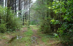 Macedonia Rd, Double Springs, AL 35553