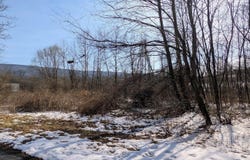 Juniata Mills lot: 8, Everett, PA 15537